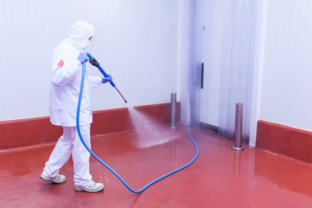 Best Boat and Dock Cleaning  in Ridgewood, NJ