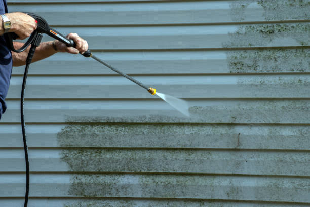 Best Gutter Cleaning  in Ridgewood, NJ
